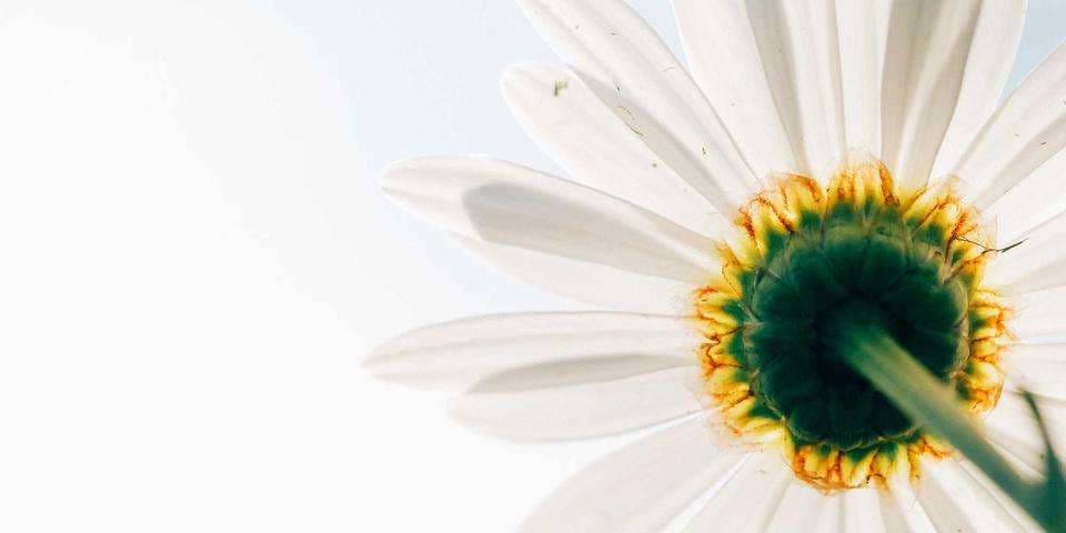 358p