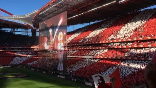Estadio da Luz: A Historical Sporting Icon
