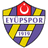 teamLogo