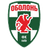 teamLogo