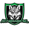 teamLogo