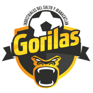 teamLogo