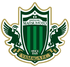 teamLogo